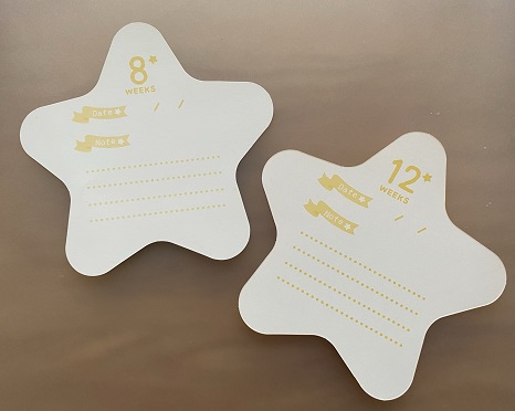 100均 セリア マタニティフォトカード マンスリーフォトカード 妊婦さん 赤ちゃん時期に Kosodate Love